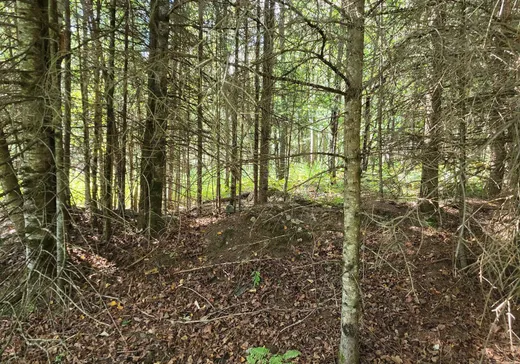 Land for sale -  Rue de la Sapinière, Wentworth, J0T1Y0