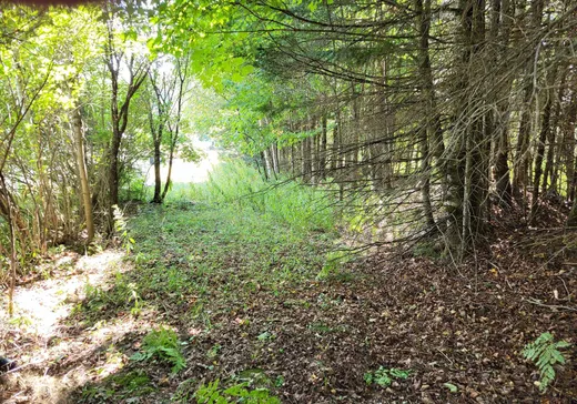 Land for Sale -  Rue de la Sapinière, Wentworth, J0T 1Y0