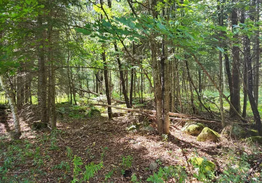 Land for Sale -  Rue de la Sapinière, Wentworth, J0T 1Y0