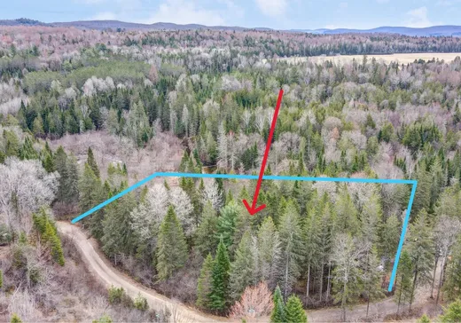 Land for sale - Rue du Ruiss Rue du Ruisseau, Notre-Dame-de-la-Merci, J0T1A0