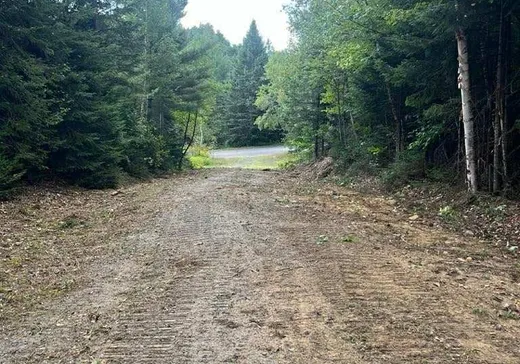 Land for Sale -  Ch. Fleurant, Mont-Tremblant, J0T 1P0