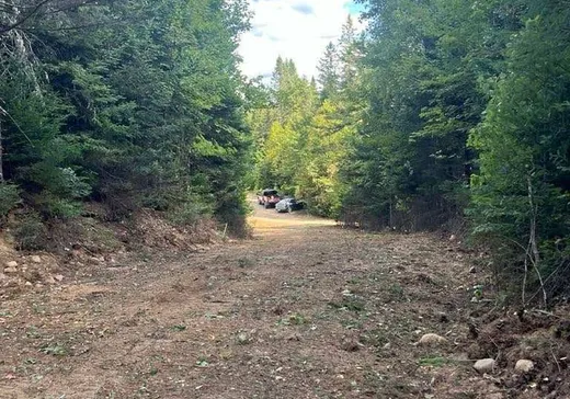 Land for Sale -  Ch. Fleurant, Mont-Tremblant, J0T 1P0