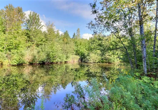Terrain à vendre - 118 Route de la Chute, St-Raphael-de-Bellechasse, G0R4C0