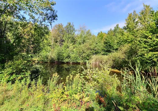 Terrain à vendre - 118 Route de la Chute, St-Raphael-de-Bellechasse, G0R 4C0