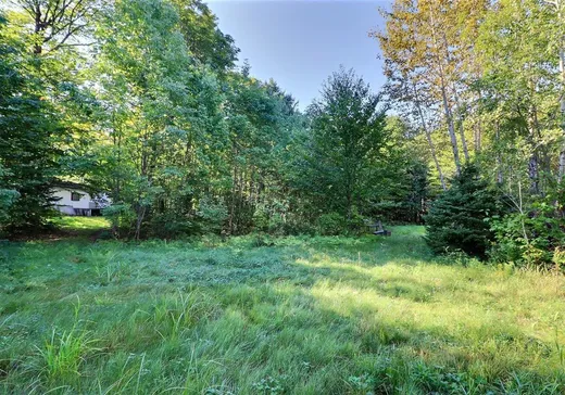 Terrain à vendre - 118 Route de la Chute, St-Raphael-de-Bellechasse, G0R 4C0