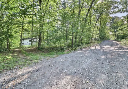 Terrain à vendre - 118 Route de la Chute, St-Raphael-de-Bellechasse, G0R 4C0