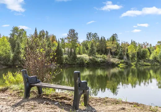 Terrain à vendre - 75 Ch. des Limites, St-Fabien-De-Panet, G0R2J0