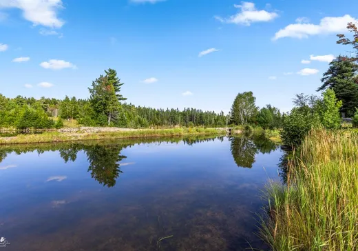 Terrain à vendre - 75 Ch. des Limites, St-Fabien-De-Panet, G0R 2J0