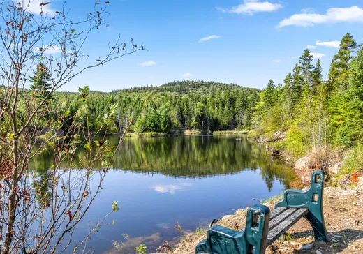 Terrain à vendre - 75 Ch. des Limites, St-Fabien-De-Panet, G0R 2J0