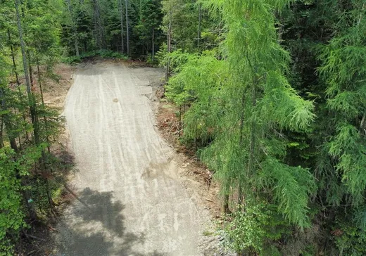 Terrain à vendre - 74 Ch. du Quatre-Milles, Lac-Mégantic, J0B 1Y0