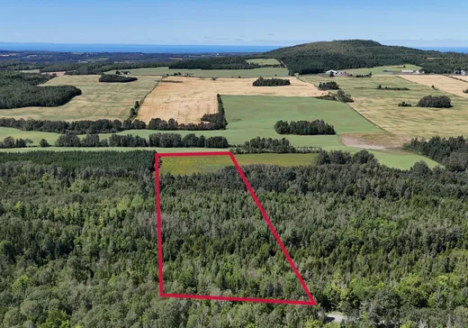 Land for sale -  Ch. du Grand-Macpès E., Pont-Rouge, G5N5J5