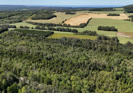 Land for Sale -  Ch. du Grand-Macpès E., Pont-Rouge, G5N 5J5