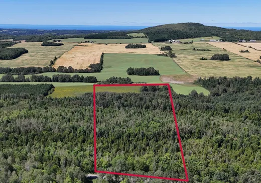 Land for sale -  Ch. du Grand-Macpès E., Pont-Rouge, G5N5J5