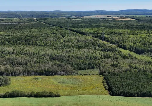 Land for Sale -  Ch. du Grand-Macpès E., Pont-Rouge, G5N 5J5