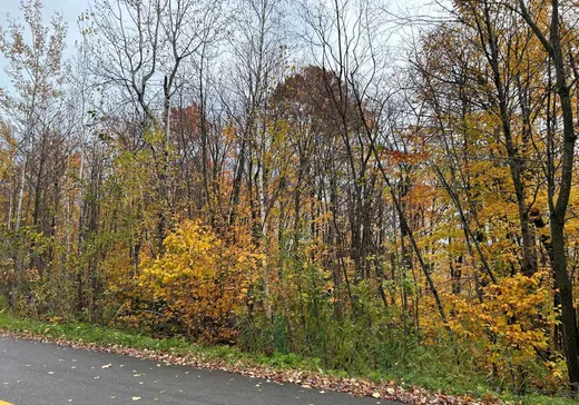 Land for Sale - Rue Pascal Rue Pascal, Sainte-Sophie, J5J 1V7