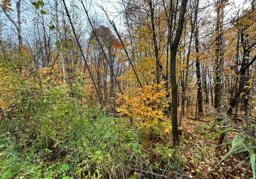 Land for Sale - Rue Pascal Rue Pascal, Sainte-Sophie, J5J 1V7