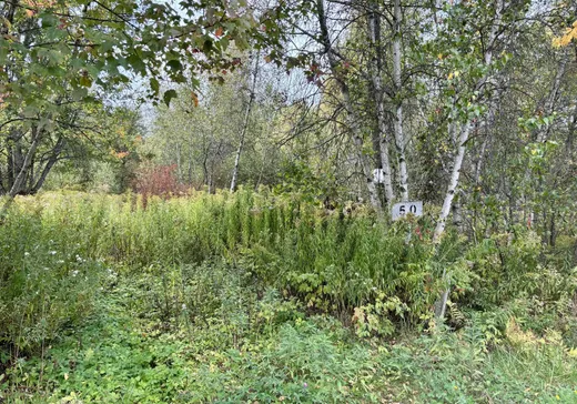 Land for sale - 50 Ch. du Lac-à-la-Truite, Daveluyville, G0Z1C0