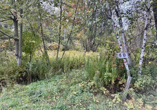 Land for Sale - 50 Ch. du Lac-à-la-Truite, Daveluyville, G0Z 1C0
