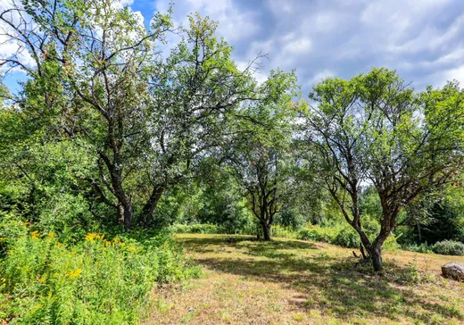 Terrain à vendre - 516Z Ch. Edina, Grenville, J0V1B0