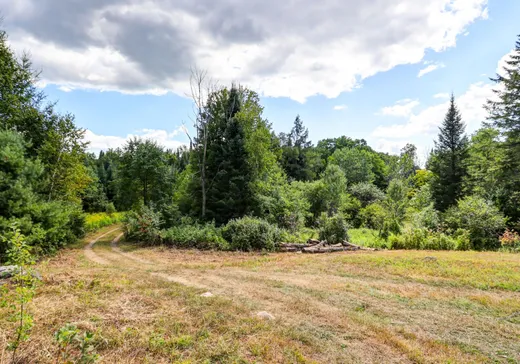Terrain à vendre - 516Z Ch. Edina, Grenville, J0V 1B0