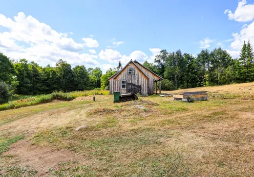Terrain à vendre - 516Z Ch. Edina, Grenville, J0V 1B0