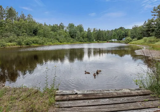 Land for Sale -  Route Louis-Cyr, St-Jean-De-Matha, J0K 2S0