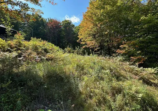 Terrain à vendre -  Rue des Voiliers, Ste-Catherine-de-la-JC, G3N 2B6