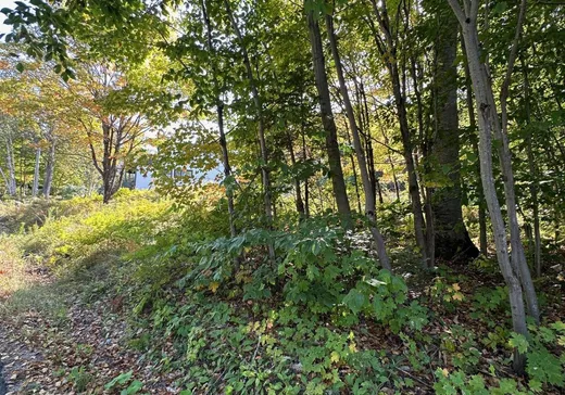 Terrain à vendre -  Rue des Voiliers, Ste-Catherine-de-la-JC, G3N 2B6