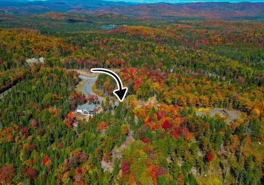 Terrain à vendre - 39 Ch. du Grand-Belvédère, Val David, J0T2N0