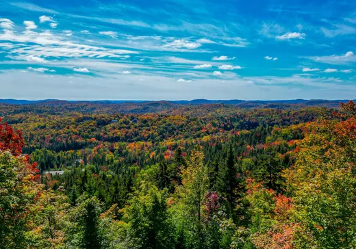 Terrain à vendre - 39 Ch. du Grand-Belvédère, Val David, J0T 2N0