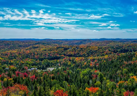 Terrain à vendre - 39 Ch. du Grand-Belvédère, Val David, J0T 2N0