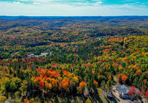 Terrain à vendre - 39 Ch. du Grand-Belvédère, Val David, J0T 2N0