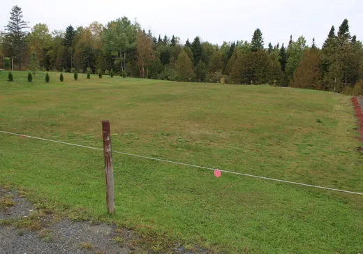 Terrain à vendre - 78 Ch. Taché E., Saint-Hubert-de-rivière-du-loup, G0L 3L0