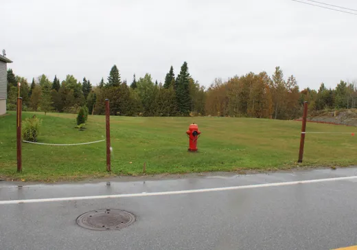 Terrain à vendre - 78 Ch. Taché E., Saint-Hubert-de-rivière-du-loup, G0L 3L0