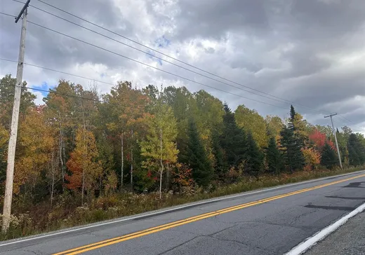 Terrain à vendre - 29 Route 283, St-Fabien-De-Panet, G0R2J0