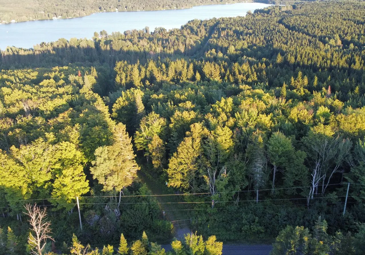 Ch. du Lac-du-Portage O. — photo 1