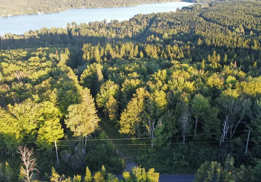 Terrain à vendre -  Ch. du Lac-du-Portage O., Matane, G0J3C0