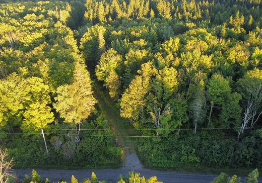 Terrain à vendre -  Ch. du Lac-du-Portage O., Matane, G0J 3C0