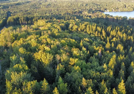 Terrain à vendre -  Ch. du Lac-du-Portage O., Matane, G0J 3C0