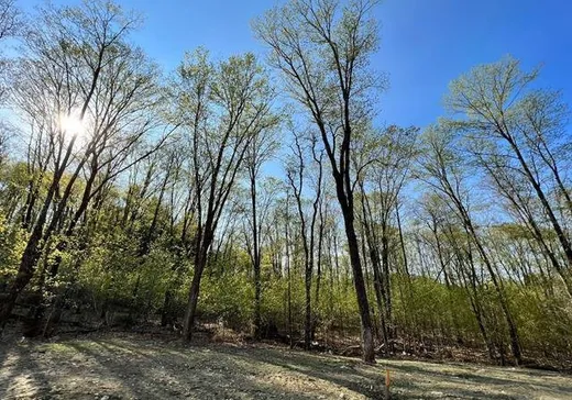 Land for Sale -  Rue Radieux, Sainte-Adèle, J8B 1A3