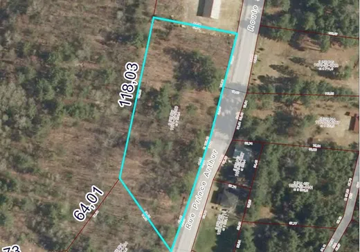 Land for sale - 441 Rue Prince-Arthur, Otter Lake, J0X2P0