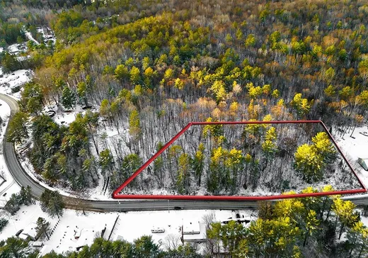 Terrain à vendre - 441 Rue Prince-Arthur, Otter Lake, J0X 2P0