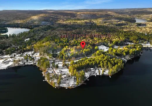 Terrain à vendre - 441 Rue Prince-Arthur, Otter Lake, J0X 2P0