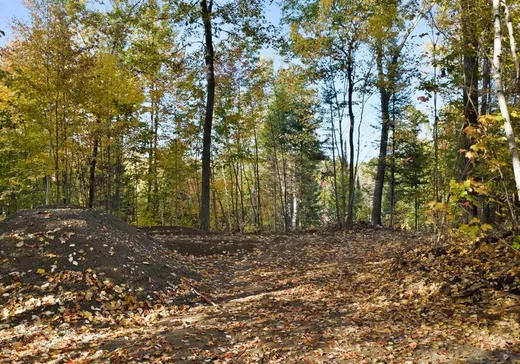 Terrain à vendre - 139 Ch. du Lac-Murray, Otter Lake, J0X2P0