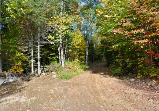 Land for Sale - 139 Ch. du Lac-Murray, Otter Lake, J0X 2P0