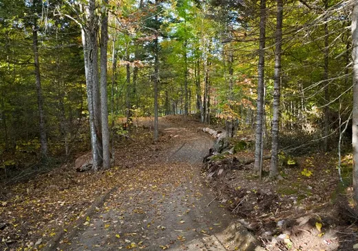 Terrain à vendre - 137 Ch. du Lac-Murray, Danford Lake, J0X1P0