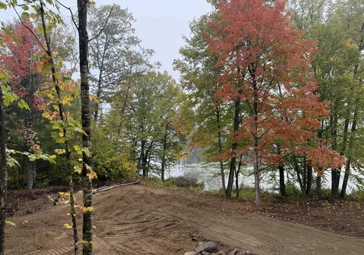 Terrain à vendre - 137 Ch. du Lac-Murray, Danford Lake, J0X 1P0