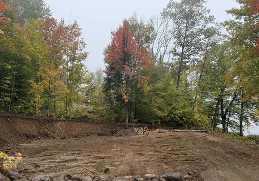 Terrain à vendre - 137 Ch. du Lac-Murray, Danford Lake, J0X 1P0