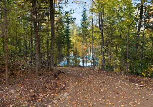 Land for sale - 141 Ch. du Lac-Murray, Otter Lake, J0X2P0