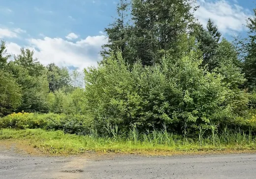 Land for sale - 51 Rue des Pionniers, Saint-Louis-de-Blandford, G0Z1B0